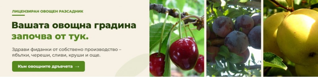 Вашата овощна градина започва от тук